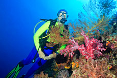 Scuba Diving in Plakias, Crete