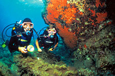 Scuba Diving in Plakias, Crete