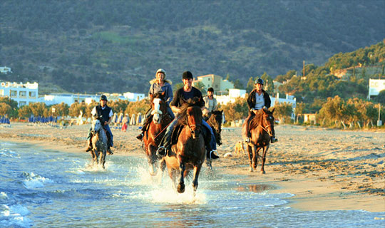 Urlaubs Aktivitäten in Plakias